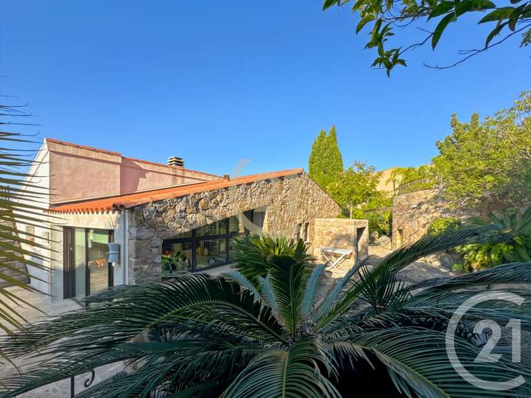 Maison Corbara - 5 chambres - 223m²