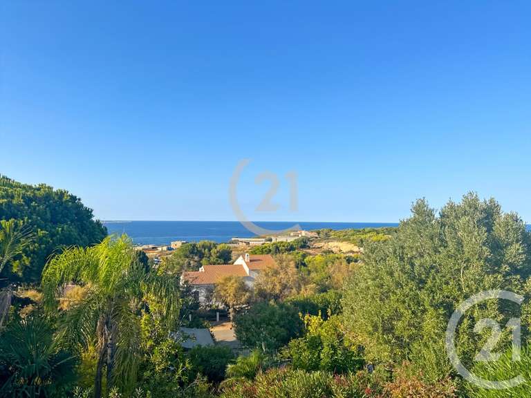 Maison Corbara - 5 chambres - 223m²