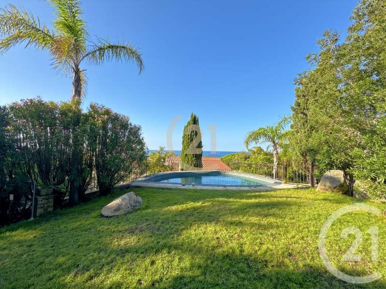 Maison Corbara - 5 chambres - 223m²