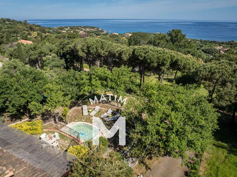 House with Sea view Corbara - 135m²