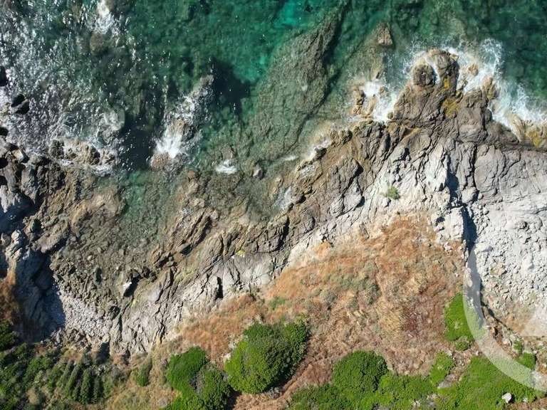 Maison Corbara - 5 chambres - 254m²