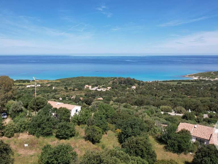 Terrain avec Vue sur mer Corbara - 3119m²