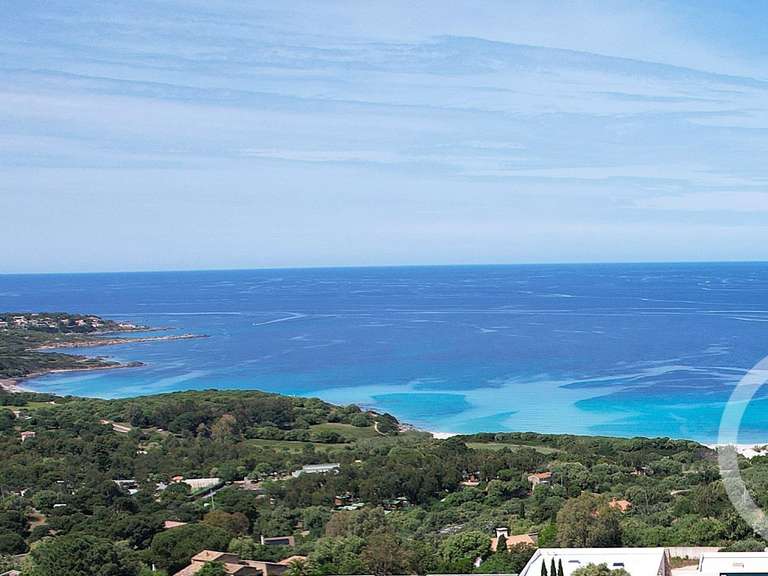 Terrain avec Vue sur mer Corbara - 1978m²