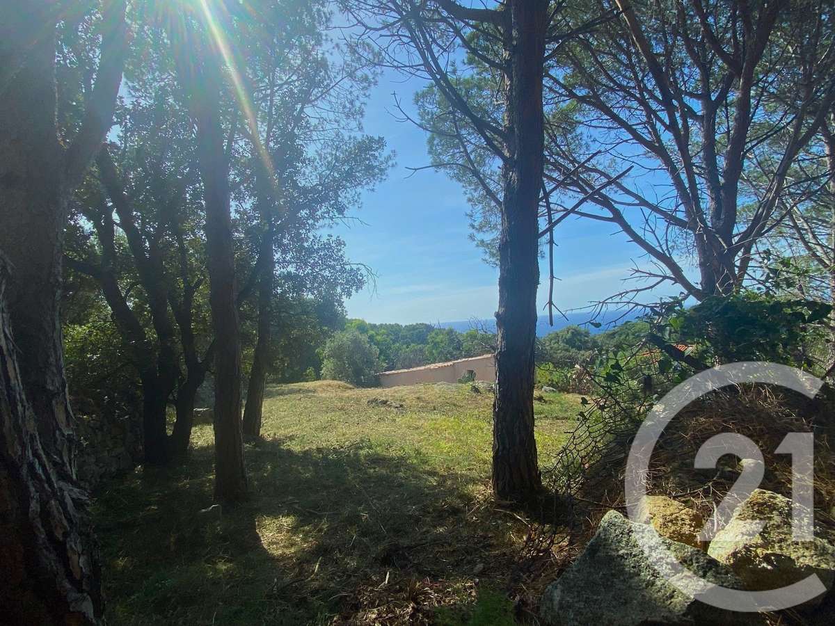 Terrain Corbara
