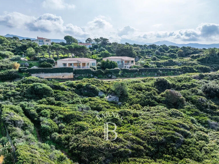 Villa Corbara - 7 chambres - 270m²