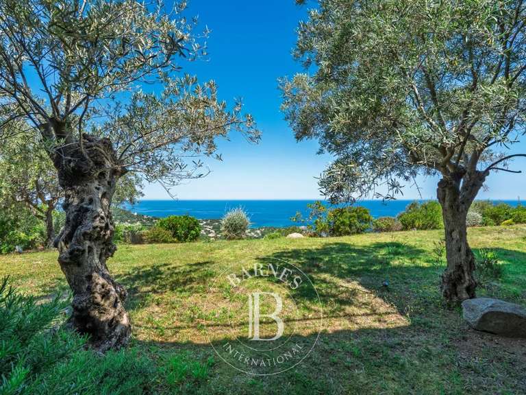 Villa avec Vue sur mer Corbara - 4 chambres - 177m²