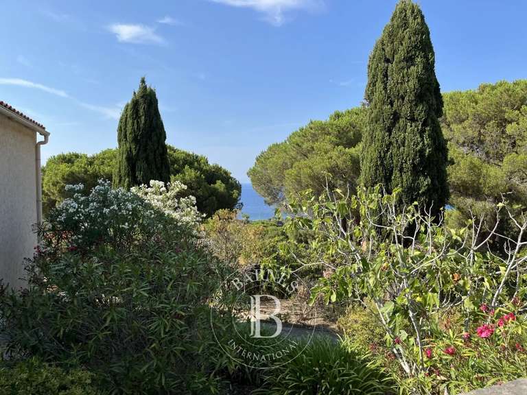 Villa avec Vue sur mer Corbara - 6 chambres - 156m²