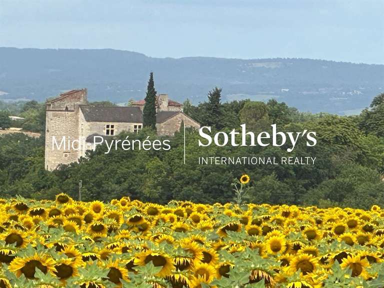 Château Cordes-sur-Ciel - 7 chambres - 470m²