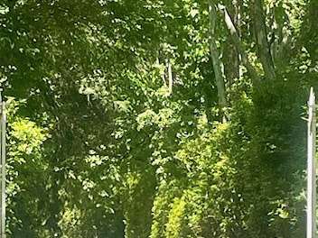 Villa Cornebarrieu - 10 chambres - 450m²