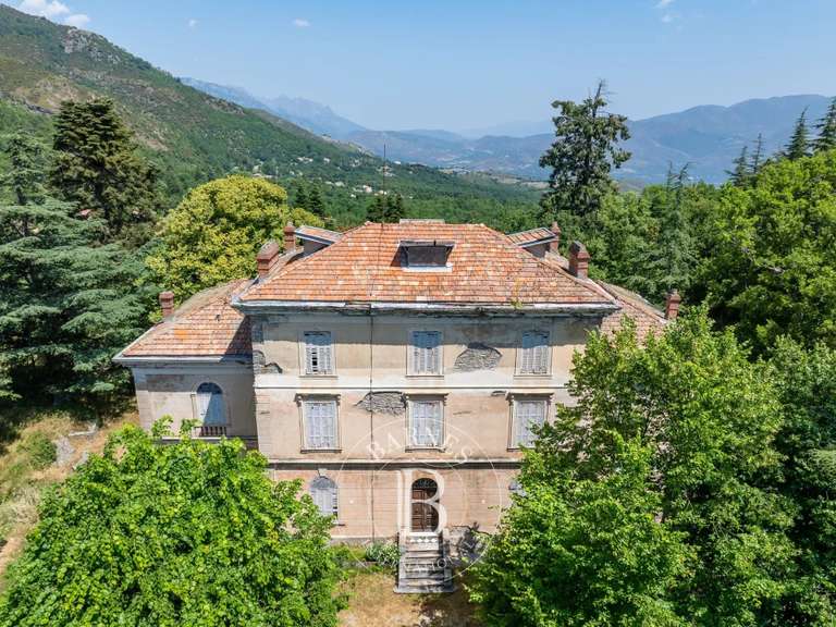 Château Corte - 8 chambres - 800m²