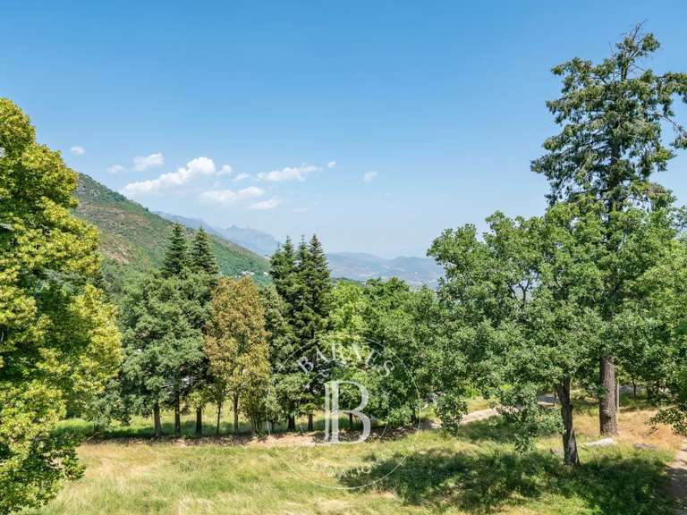 Château Corte - 8 chambres - 800m²