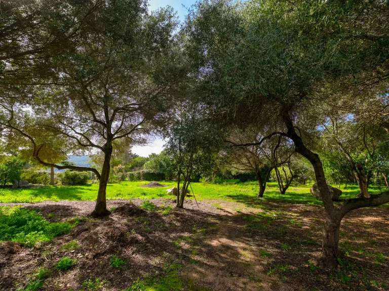 Villa avec Vue sur mer Coti-Chiavari - 4 chambres - 260m²