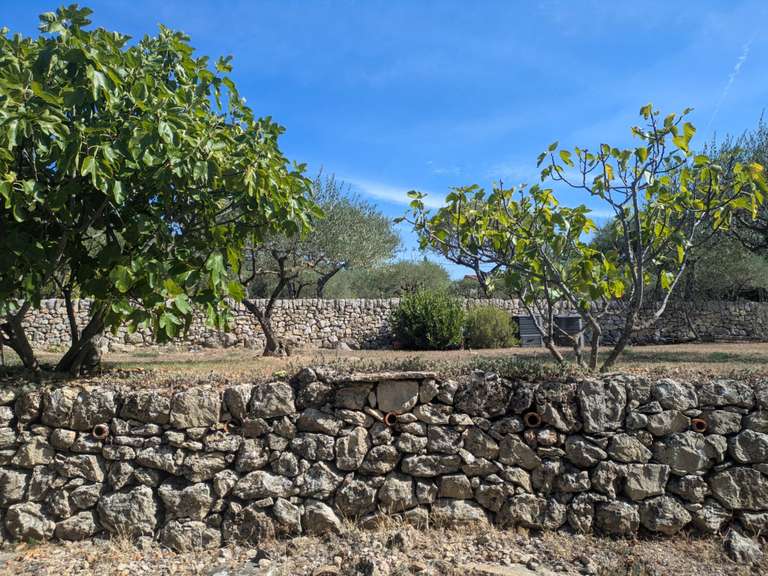 Maison Cotignac - 3 chambres - 142m²