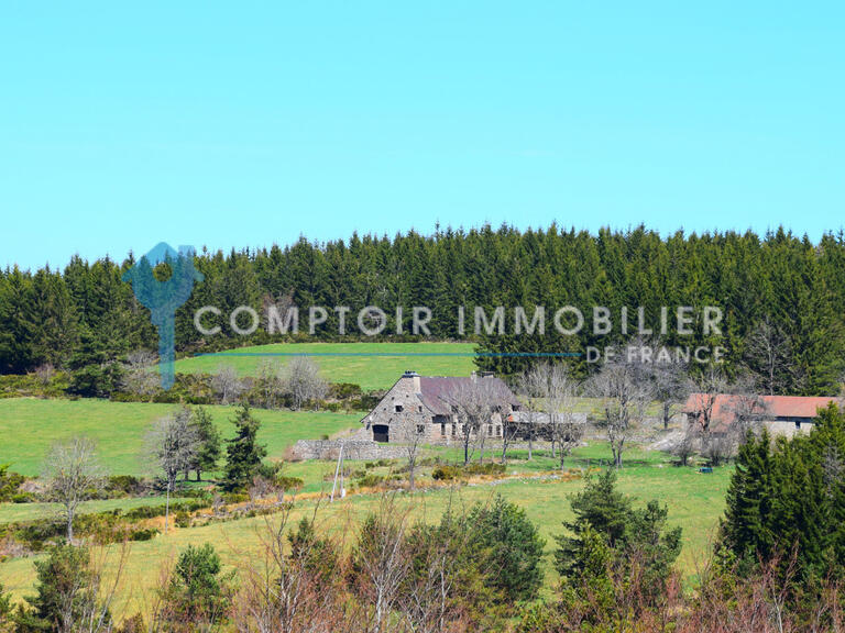 Maison Coucouron - 6 chambres - 276m²