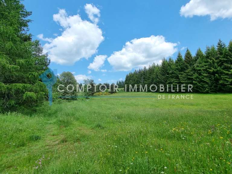 Maison Coucouron - 6 chambres - 276m²