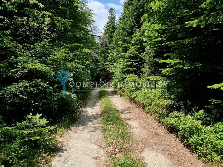 Maison Coucouron - 6 chambres - 276m²