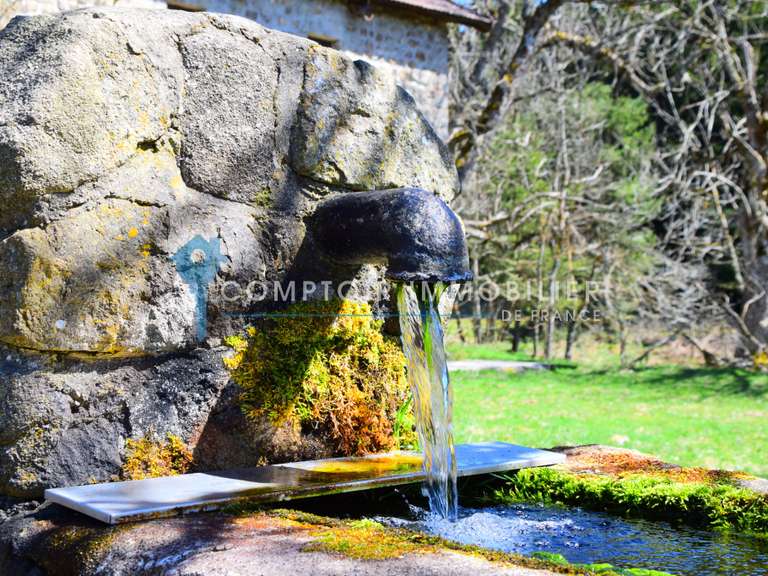 Maison Coucouron - 6 chambres - 276m²