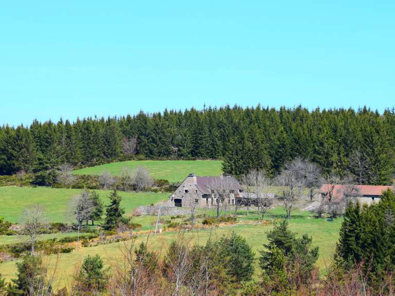 Propriété Coucouron - 6 chambres - 600m²