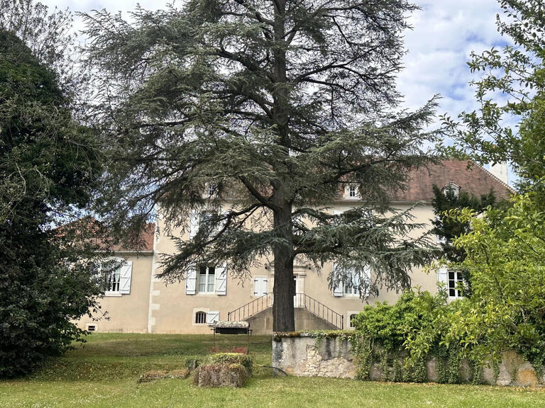 Maison Coulanges-sur-Yonne - 5 chambres - 630m²