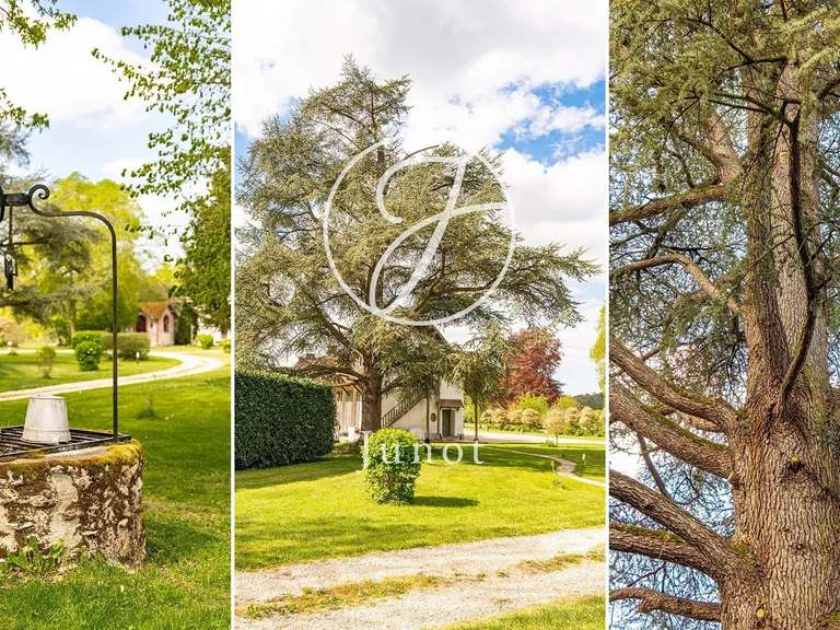 Propriété Coulommiers - 4 chambres - 1000m²