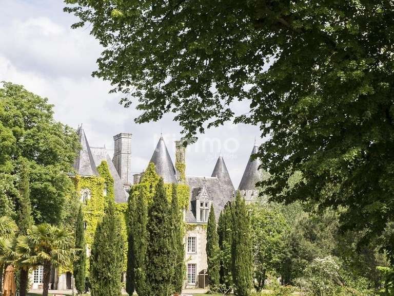 Hôtel particulier Courcelles-de-Touraine