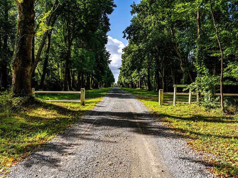 Château Coutances - 15 chambres - 520m²