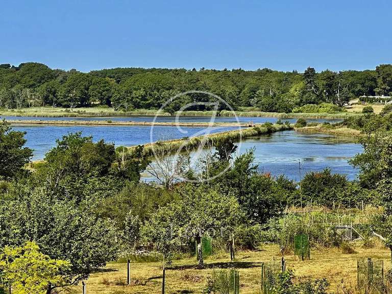 Maison avec Vue sur mer Crach - 4 chambres - 261m²