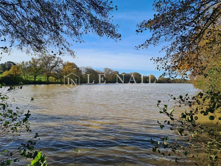 Terrain Craon - 196657m²