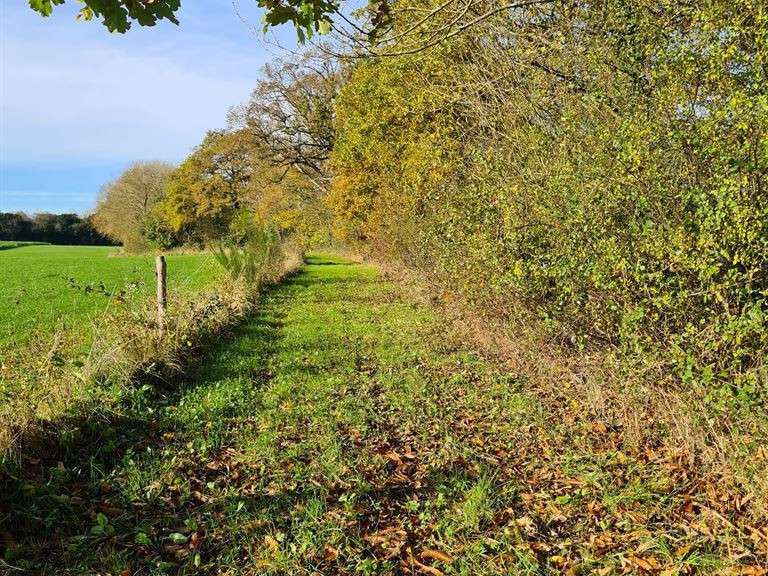 Terrain Craon - 200000m²