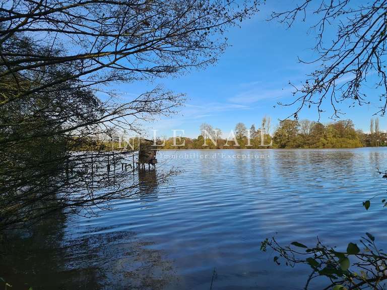 Terrain Craon - 200000m²