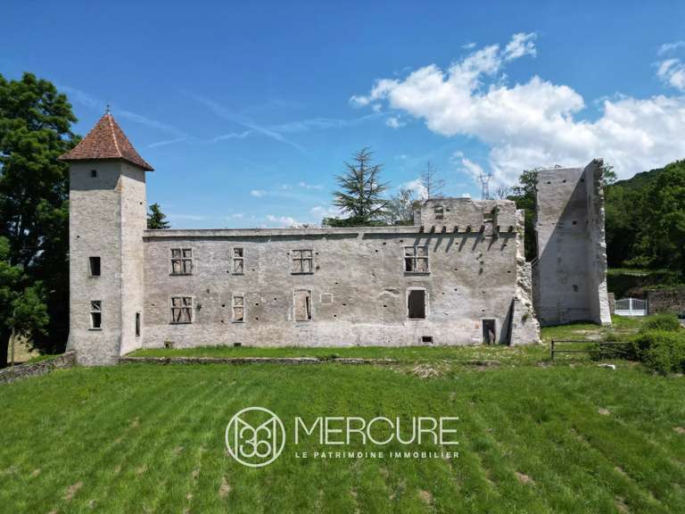 Propriété Crémieu - 6 chambres - 324m²