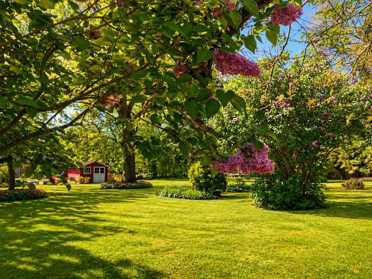 Maison Crouy-en-Thelle - 4 chambres - 141m²