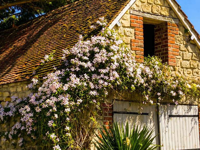 Maison Crouy-en-Thelle - 4 chambres - 141m²