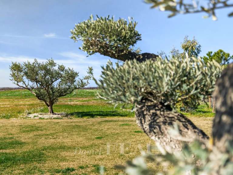 Maison Cucuron - 5 chambres - 520m²