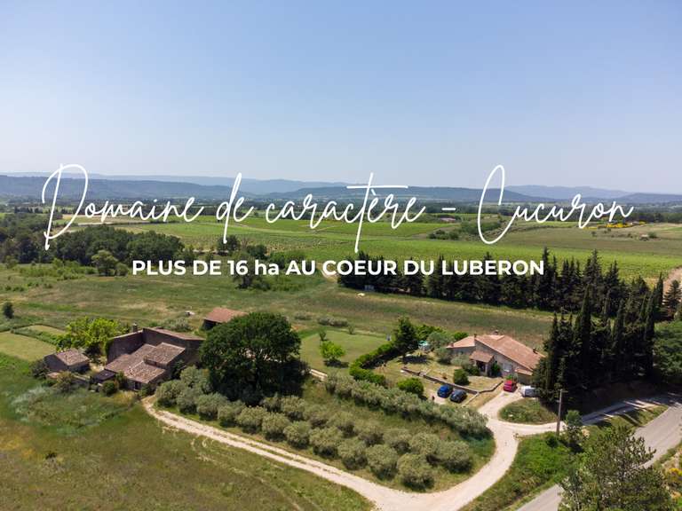 Maison Cucuron - 6 chambres - 550m²