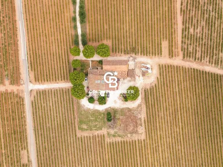 Domaine viticole Cuers - 7 chambres - 1100m²