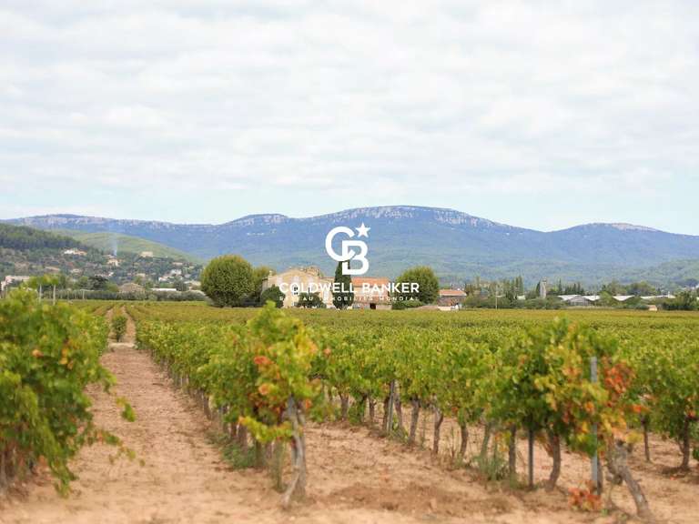 Domaine viticole Cuers - 7 chambres - 1100m²