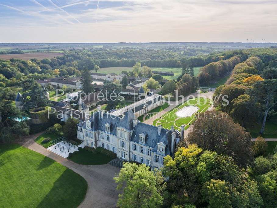 Castle Curzay-sur-Vonne