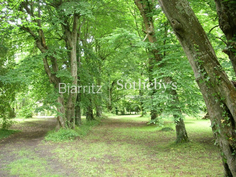 Castle Dax - 550m²