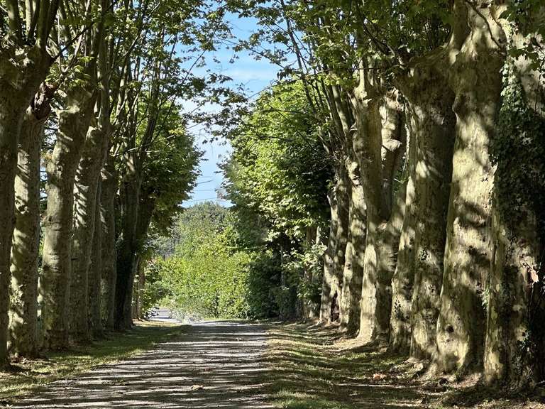 Maison Dax - 4 chambres - 350m²