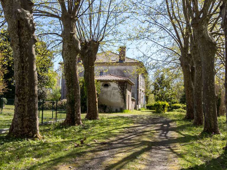 Propriété Dax - 5 chambres - 350m²