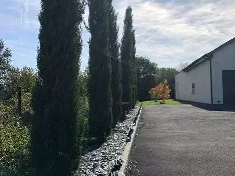 Maison Deauville - 5 chambres - 271m²