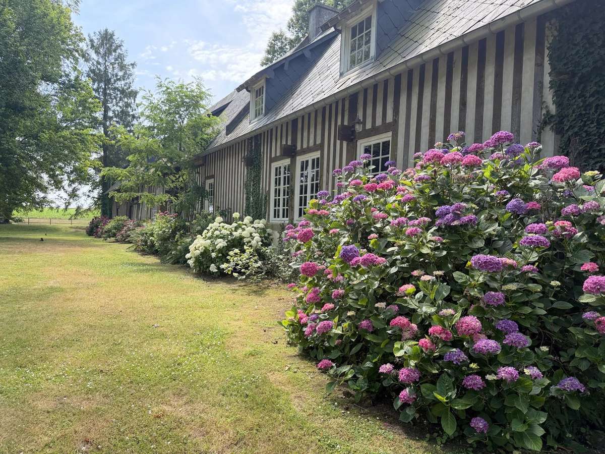 Property Deauville