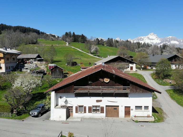 Maison Demi-Quartier - 527m²