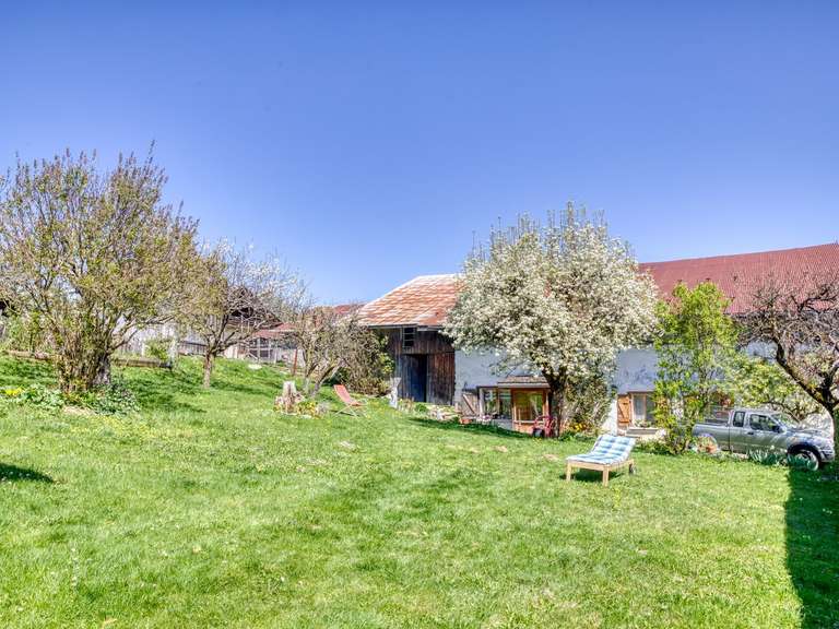 Maison Demi-Quartier - 527m²