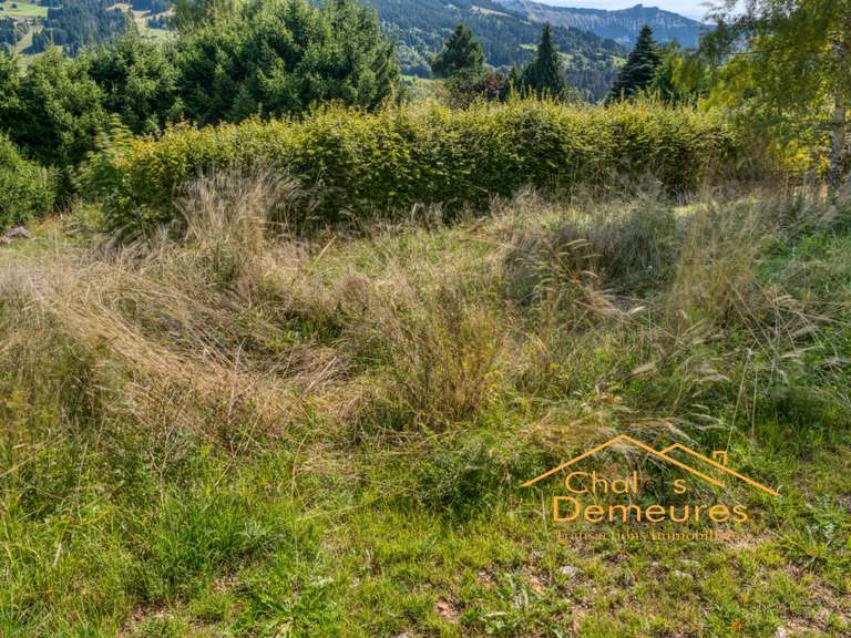 Terrain Demi-Quartier - 750m²