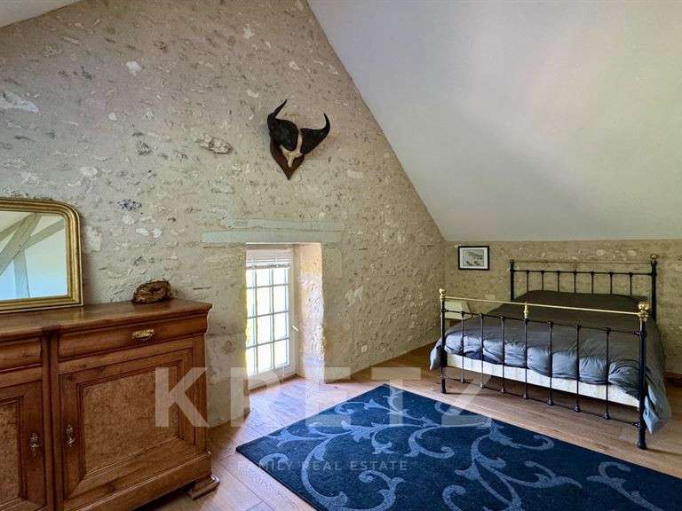 Moulin Descartes - 7 chambres - 526m²