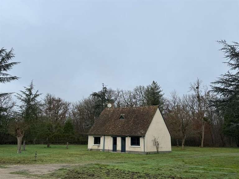 House Dhuizon - 5 bedrooms - 338m²