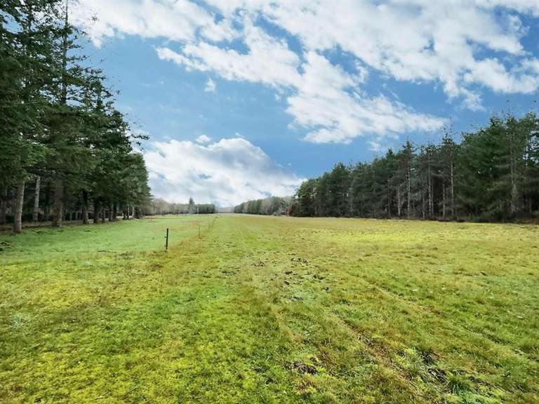 House Dhuizon - 5 bedrooms - 338m²