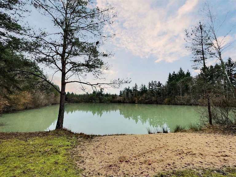 House Dhuizon - 5 bedrooms - 338m²